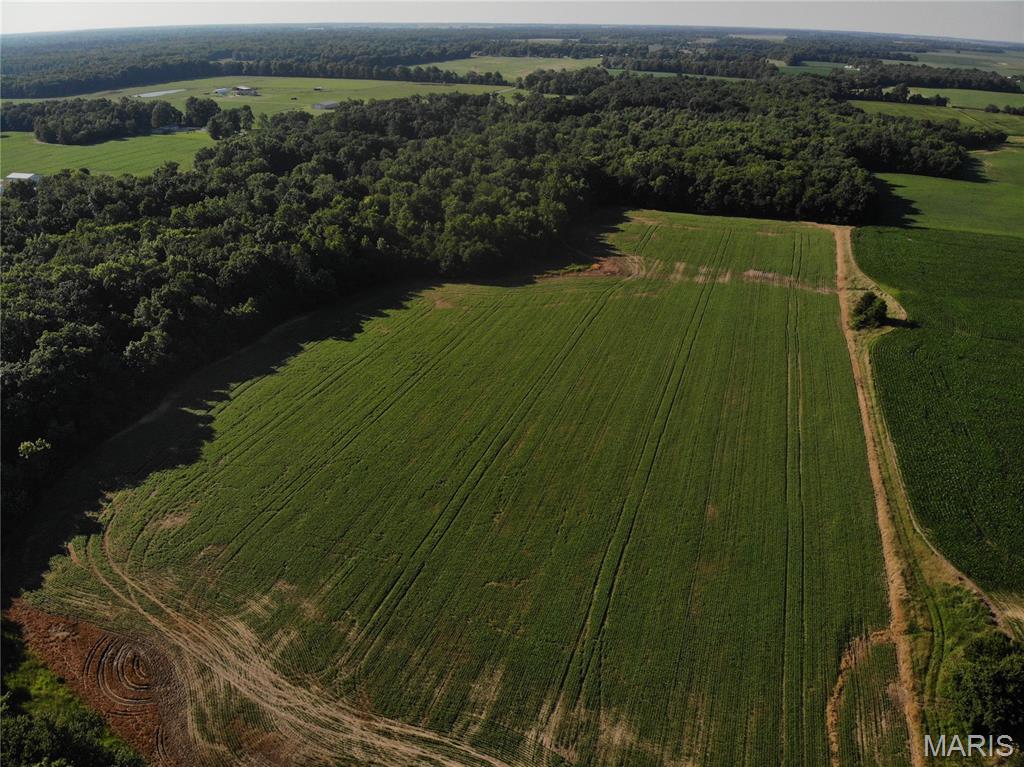 Stevenson Twp - Land