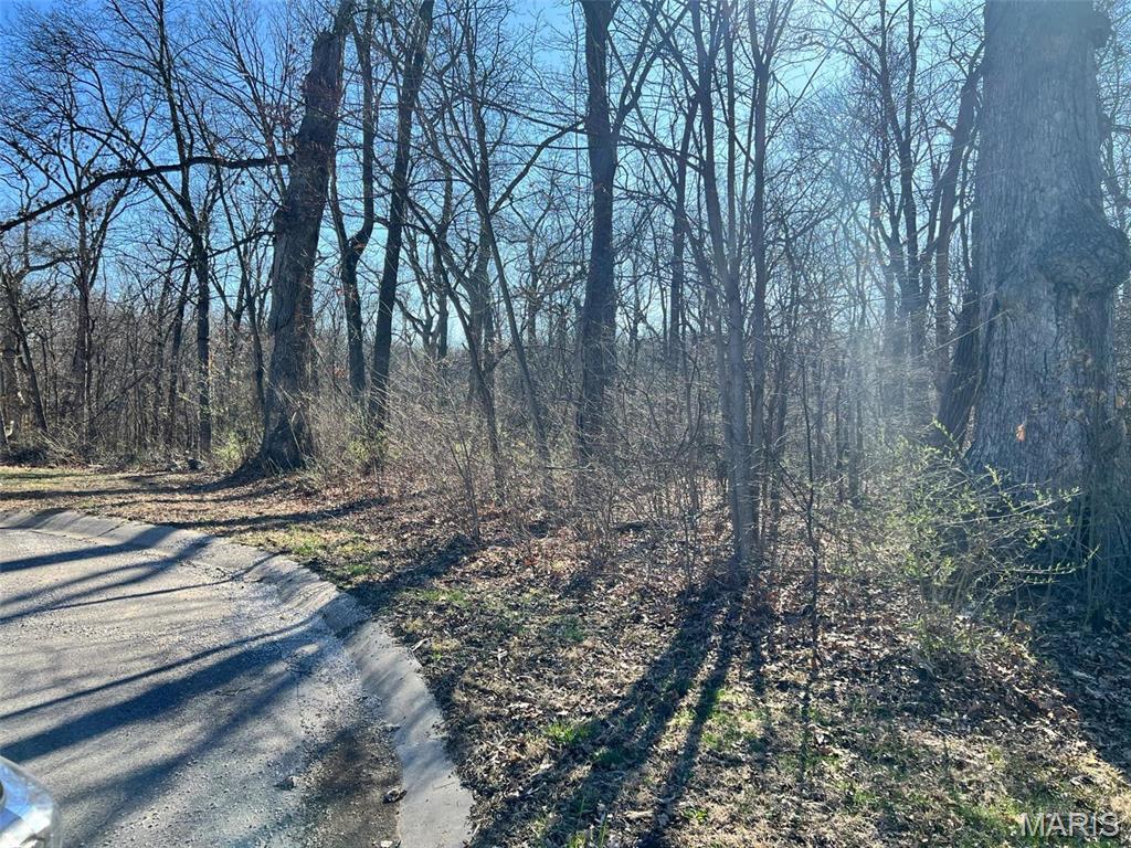 Discover your own slice of tranquility with this 4.57-acre wooded lot located at the edge of town. Nestled in a peaceful area, this property offers a perfect blend of privacy and convenience. Enjoy the serenity of nature while being just minutes away from schools, shopping centers, and healthcare providers. Whether you're looking to build your dream home or invest in a serene getaway, this lot provides the ideal setting to create lasting memories. Don't miss the opportunity to own this exceptional piece of land!