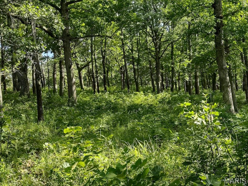 A DIAMOND IN THE ROUGH !!!   Just north of Eldridge, in Laclede County, Mo lies a Gem of a Recreational Hunting Property for sale. Live water currently runs through it with endless Hunting spots to get that perfect deer or turkey. This Vacant Hunting Land has brushy habitat for Wildlife Cover, open areas for Food Plots, mature trees for hunting stands and a multitude of spots for setting up recreational vehicles. If Hiking is your game, a verity of terrain challenges awaits you. From gentle sloping areas to some rugged ravine spots, you're sure to ger that recreational exercise. As a bonus, the grass is thick enough to graze not only the wildlife, but there's plenty for a herd of goats or some cattle as well. For the Developer, approximately a half mile of Road Frontage along with the cooperative terrain would work well for subdividing into Country Home Residential Lots. Laclede County Missouri Vacant Hunting and Recreational Land is selling fast.....better see this one quick.