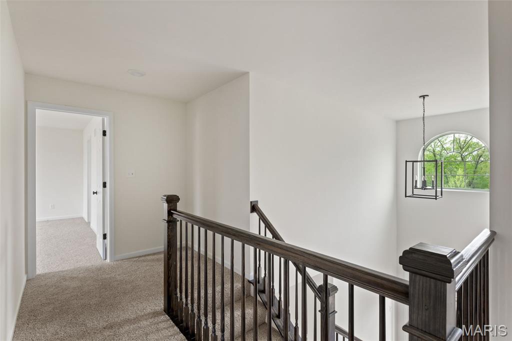 Koch Park 86 - Residential