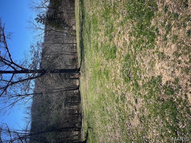 Get ready to build on this 6 acre lot located in the Big Woods Lake Community on the south end of Desoto.  There is electric onsite, a well that needs a new pump, and septic system that needs updated. Lot has recently been cleared but there is still plenty of woods for privacy. This community is made up of large, private wooded lots (often 5+ acres each), featuring no strict building codes, and allowances for camping, hunting, and RV use. You have access to community lakes and the Big River for fishing, swimming, and boating. This subdivision was designed for nature enthusiasts and those seeking a private, rural atmosphere while still being within driving distance of Hwy 21 for easy commute and the City of DeSoto and all it has to offer.