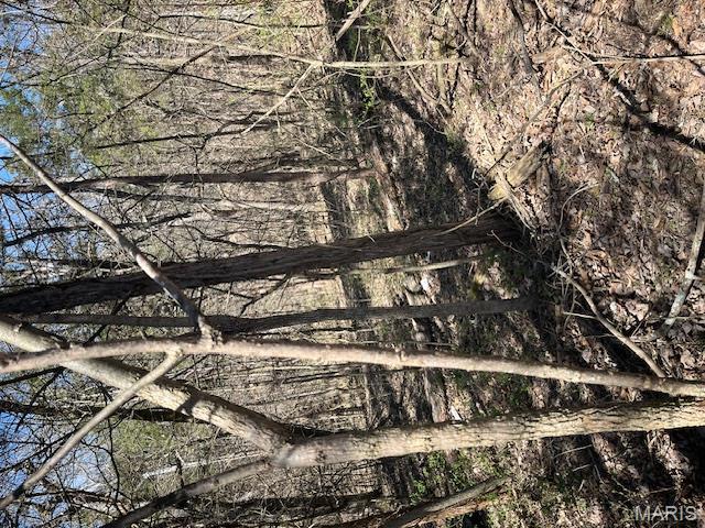 Big Woods - Land