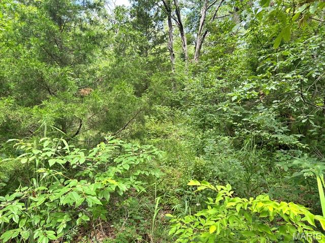 0.459 acres all wooded with access to Lake and close to State Parks. Hike , Fish, Swim or ride your ATV.