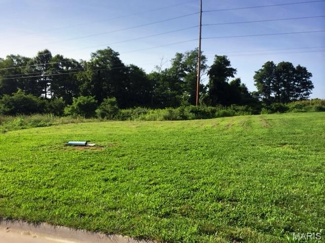 Lot 13 is an end lot in Bluff Meadows. Tucked away by woods in the secluded entrance is Bluff Meadows in Valmeyer.  With so few homes for sale in Valmeyer, it is a great time to custom build your own home and get exactly what you are looking for.  You can bring your own builder.  Minimum square footage for a home on this lot is 1350 sq. ft. TAP IN FEES PAID BY VALMEYER to SAVE YOU MONEY!  Valmeyer is high up in the Illinois Ozark bluffs and a great community with a beautiful - easy - no stop light commute to St. Louis/about 20 minutes from South County.  Or 15 minutes to Rt 3 in Columbia.  Bluffview also offers:  Sidewalks, Street Lights, Fiber Optic & Public Utilities. There are other lots available that are Walkout, Corner or Daylight Window lots.
