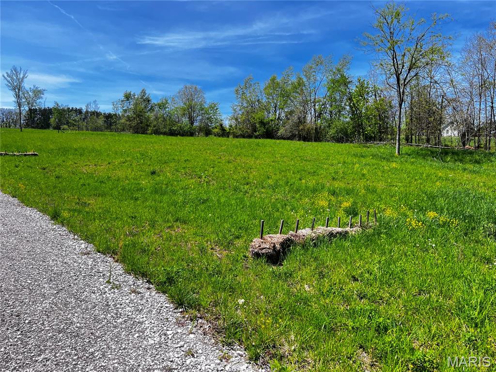 Imagine waking up each morning in a home designed exactly the way you've always envisioned it—nestled on a beautiful 1.35-acre lot just outside the city limits. This incredible property offers the perfect blend of peaceful country living and convenient access to town. With level terrain and a gentle slope, this lot provides an ideal building site for your dream home, whether you're planning a cozy retreat or a spacious family residence. Enjoy the privacy and room to spread out while still being only minutes from grocery stores, restaurants, schools, and everyday conveniences. Need to commute? Easy access to I-55 makes traveling a breeze while allowing you to come home to the tranquility you've been searching for. Opportunities like this don't come along often. Bring your vision, your plans, and your dreams—this beautiful property is ready to become the foundation of your future.