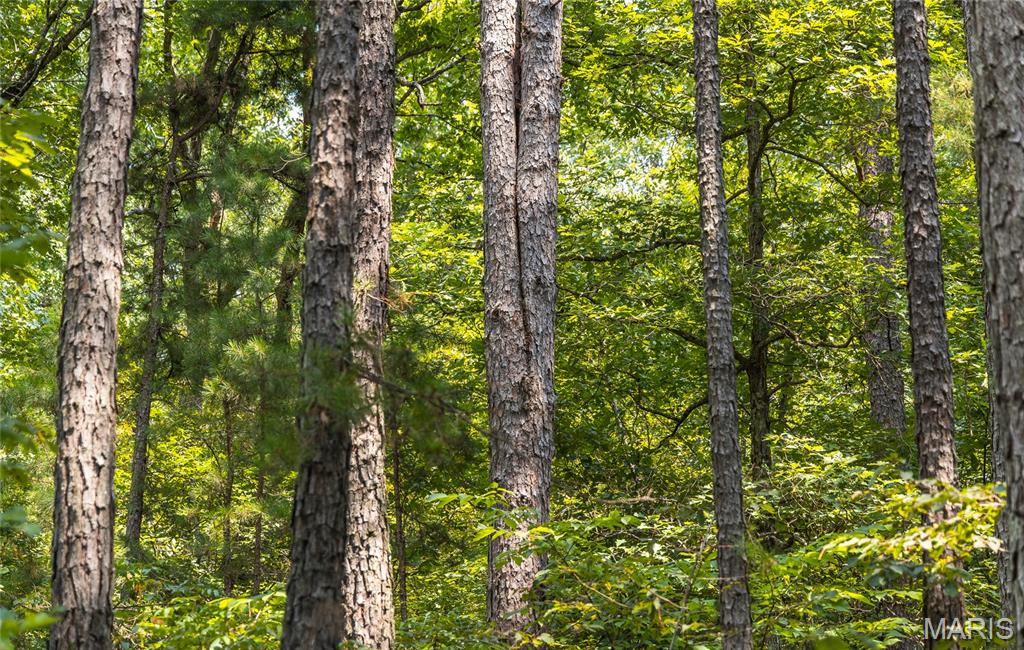 Pine Valley of Indian Creek - Land