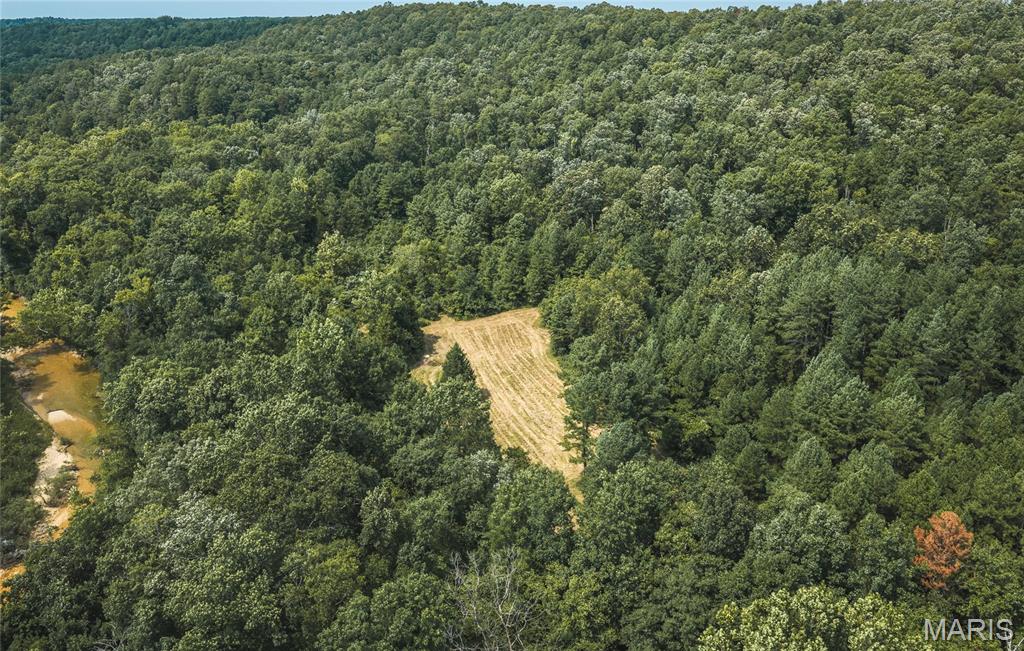 Pine Valley of Indian Creek - Land