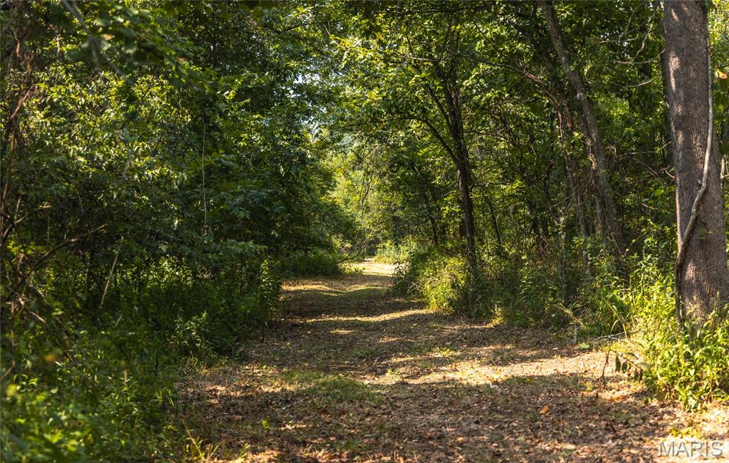 Pine Valley of Indian Creek - Land