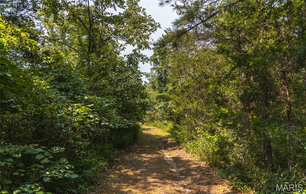 Pine Valley of Indian Creek - Land