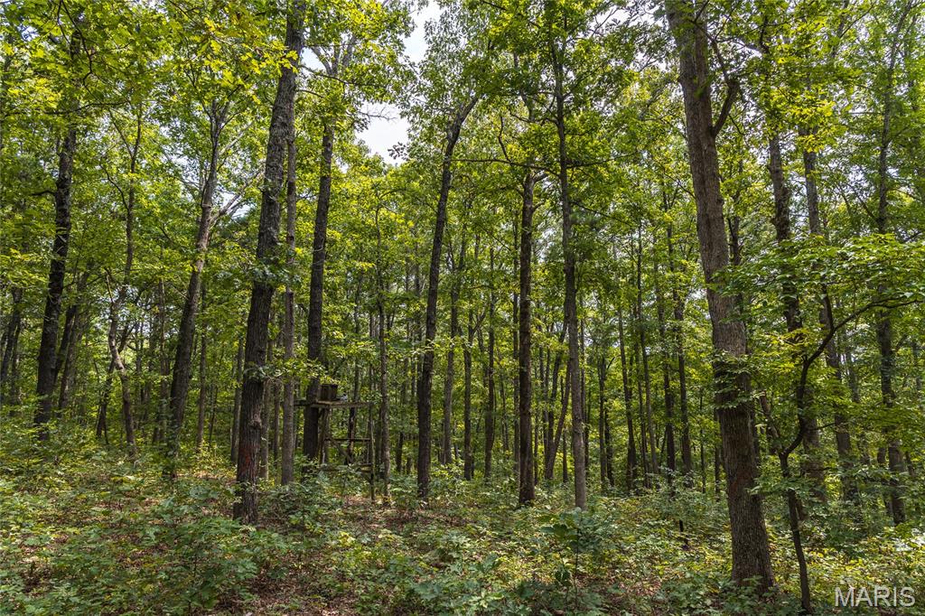 Pine Valley of Indian Creek - Land
