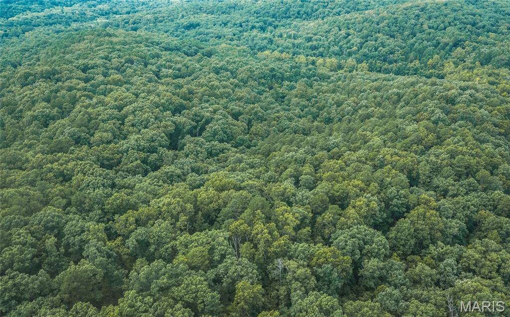 Pine Valley of Indian Creek - Land
