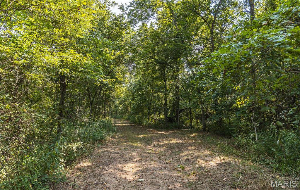 Pine Valley of Indian Creek - Land