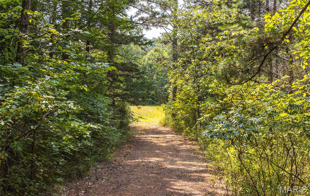 Pine Valley of Indian Creek - Land
