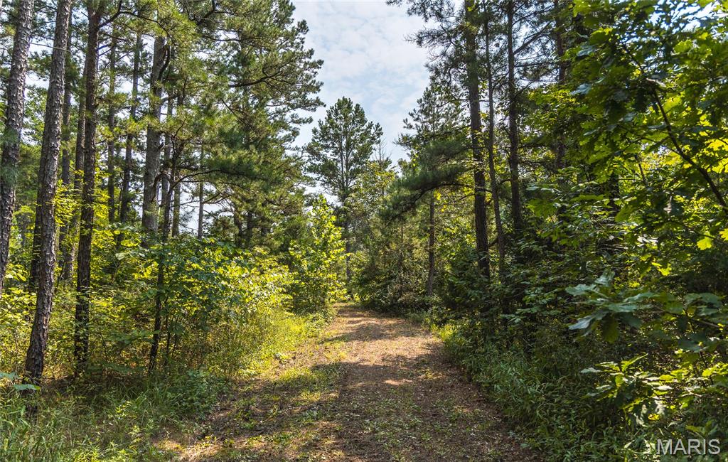 Pine Valley of Indian Creek - Land