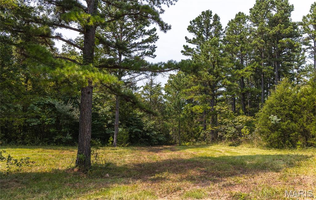 Pine Valley of Indian Creek - Land