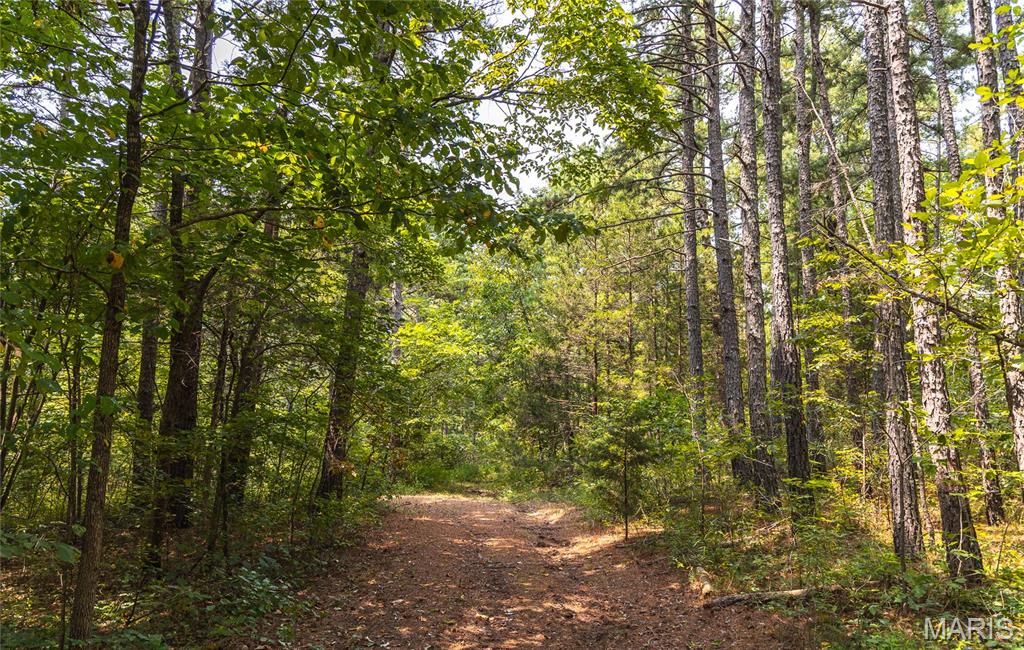 Pine Valley of Indian Creek - Land