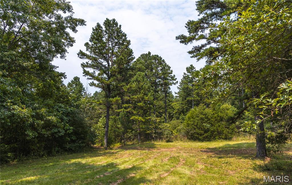 Pine Valley of Indian Creek - Land