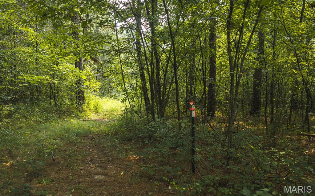 Pine Valley of Indian Creek - Land