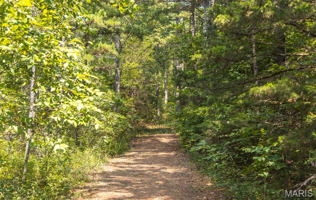 Pine Valley of Indian Creek - Land