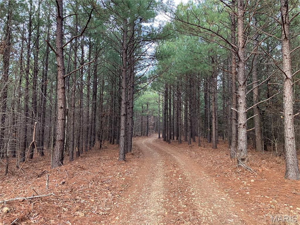 This 5.12 acres would make a great Ozark hideaway complete with a great stand of mature pine trees with level room for a home, cabin or campsite, all with a great view over a wooded valley and distant hills. It also has deeded access to a nearby shared spring-fed stream, a road along two sides, and sits within about a mile of Mark Twain National Forest. 
This affordable wooded oasis comes with NO restrictions, and can be had for less than the price of a used truck or SUV. And there's a nice deeded easement gravel road leading from the county road to your property.
Hunt, camp, build, ride ATVs on your own land, or fish or play in the shared creek section ... near endless opportunities.
This property is wooded (with a great stand of pines and hardwoods) and rolling. You are within a mile of the 22,176-acre Mark Twain National Forest ... public ground where you can also hunt, ride and explore. All this, and only about 2 miles by road from U.S. 67.
Use this wooded, secluded property as a base camp for adventure. This and surrounding land is teeming with deer, turkey and small game, and the occasional feral hog or maybe a black bear.
There is additional acres available which adjoin this piece if interested.