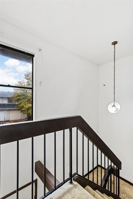 Paddock Lake Condo - Residential