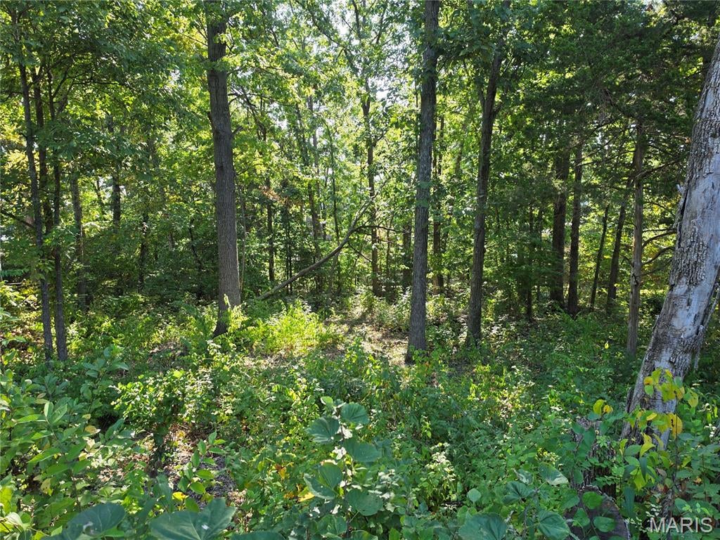 Raintree Plantation Sec 02 - Land