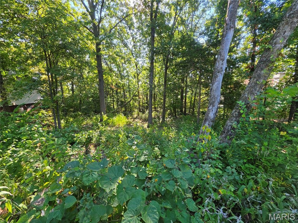 Raintree Plantation Sec 02 - Land