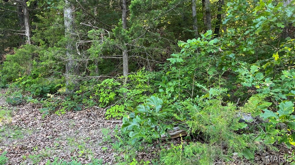 Peaceful Valley Lake Estates - Land