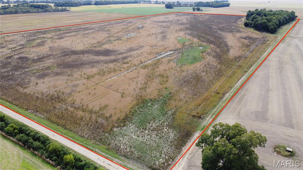 Premium 80 +/- Acre Irrigated Farm Tract in Mississippi County, MO – A Legacy of Fertility.
Secure a productive 80-acre tract of premium agricultural land situated in the renowned Wolf Island region of Mississippi County, Missouri, just a quarter-mile west of the historic Towosahgy State Historic Site. This property is an exceptional investment, distinguished by its unique, high-performing soil types and recreational timber.

The tract boasts a superior soil profile, which includes the prized Tiptonville Silt Loam, Towosahgy Fine Sandy Loam, and Reelfoot Silt Loam. This blend of river-deposited earth is globally recognized for high crop yields and resilience, making it a cornerstone asset for any farming operation. To ensure maximum yield stability, the tillable acreage is efficiently irrigated by a center pivot system, guaranteeing consistent water supply throughout the growing season.

Historic Roots and Recreational Value:
Beyond farming income, the property includes approximately 11 acres of woods, providing excellent habitat and a secluded spot for deer and other critters, or a quiet retreat. The history of this land is profound; its enduring fertility has sustained continuous production for centuries. This area, known to the Mississippian peoples as the heart of a powerful farming community at Towosahgy ("Old Town"), was the agricultural engine for one of the largest ancient villages in the region.

The farm offers solid, dependable access and is a turn-key asset, ready for the next season. Whether viewed as a high-performing financial investment or as the continuation of the land's rich agricultural tradition, this 80-acre parcel offers undeniable value.