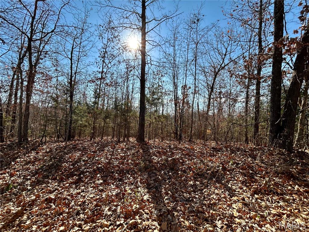Agent Owned, Attention all Investors and Builders! This great opportunity awaits in this 6-acre parcel located in a subdivision around 10 minutes east of Salem. 6 individual lots including Lots 12-17 in County Hills Estates Subdivision. Each lot is approximately 1 acre +/-, available individually or all together. High Speed Internet is available. This property has some marketable timber. A few good build sites. Whether you're looking to develop spec homes or build your dream residence, this prime location is worth taking a look. There are a few Subdivision restrictions. Electric easement on the property making it easily accessible for build sites.