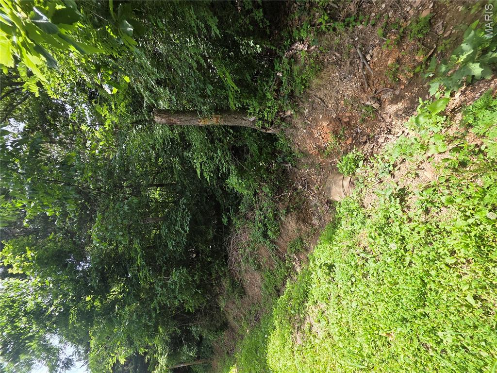 Lake Tishomingo - Land