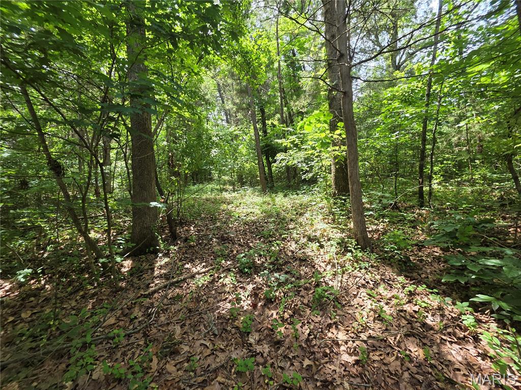 Lake Tishomingo - Land