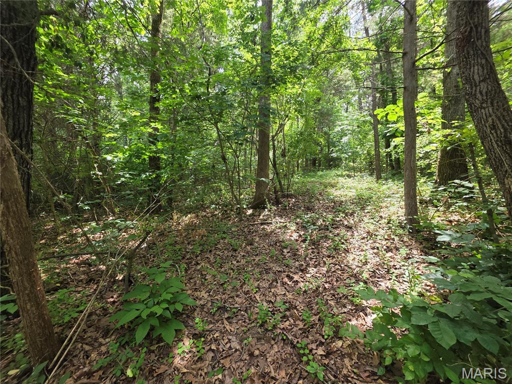 Lake Tishomingo - Land