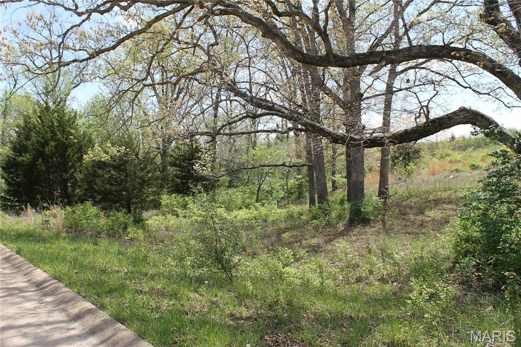 After the Sun Goes Down...
Crickets sing and tress whisper in the gentle setting of this beautiful lot. Lot 39 Oak Ridge Dr., St. Clair, MO is ready for your building plans!

Lot 40 is also available for sale!