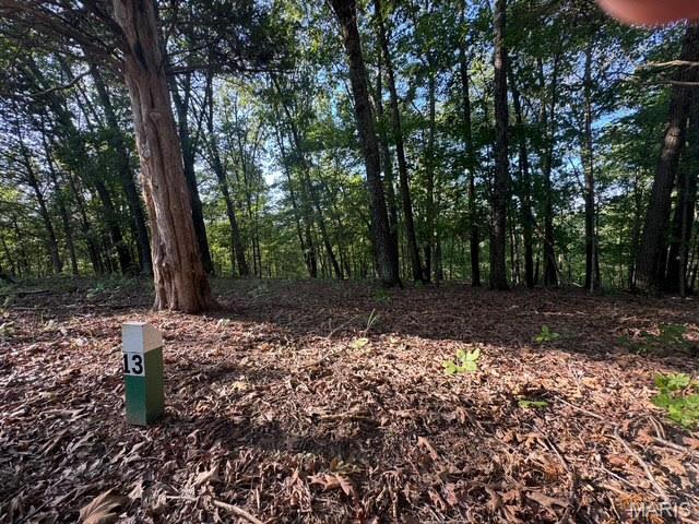 Another Great Lot in the Steeple Point Subdivision. Schedule your appointment to view today.