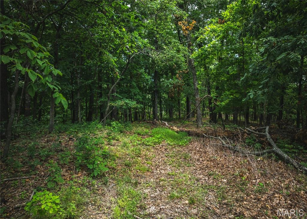 Rivermont Ranch - Land