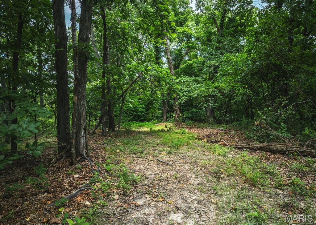 Rivermont Ranch - Land