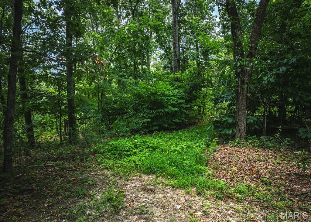 Rivermont Ranch - Land