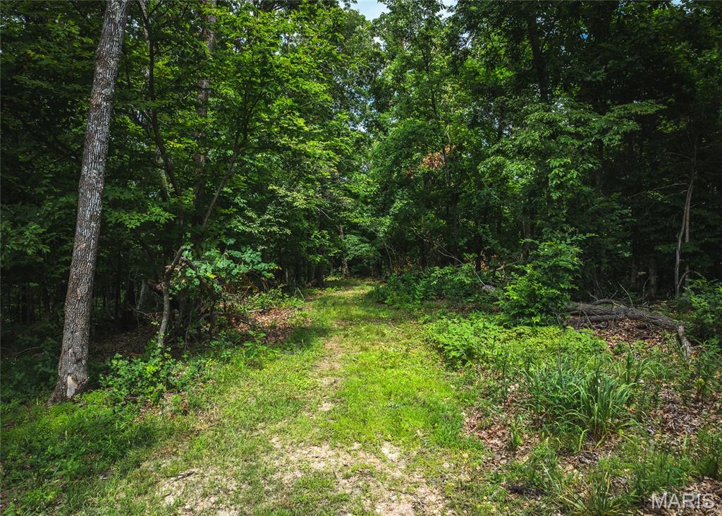 Rivermont Ranch - Land