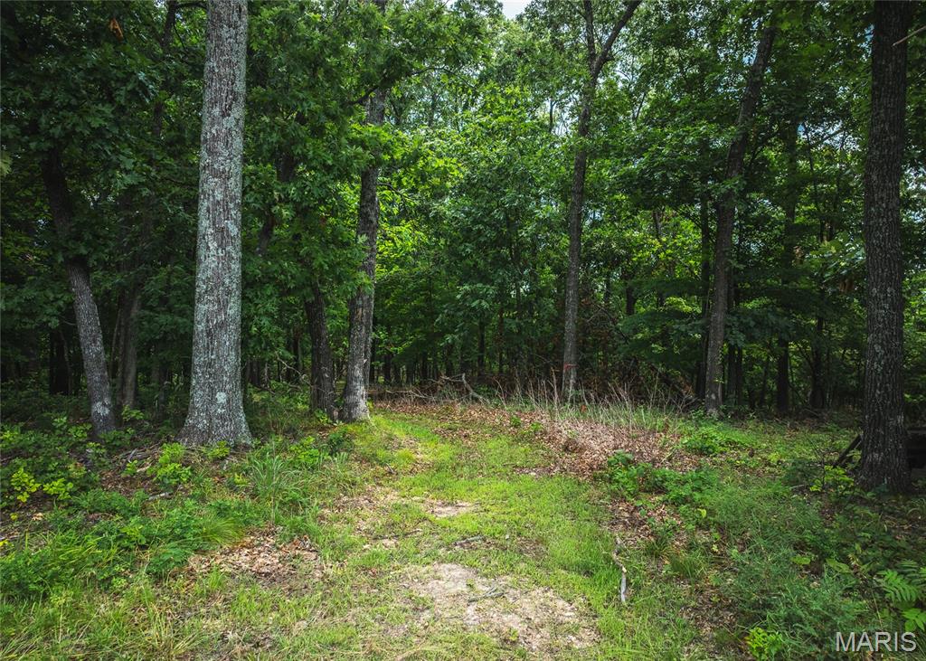 This 10-acre tract in House Springs, MO offers the perfect mix of seclusion and convenience. Nestled at the end of a private trail, the property boasts breathtaking views of the bottomland below and is just minutes from Highway 30—making for a quick and easy commute to St. Louis. A true outdoorsman’s paradise, the land is loaded with whitetail deer and wild turkeys, and is surrounded by larger tracts and landowners, keeping traffic minimal and wildlife plentiful. Whether you're looking to build your dream home, create a private hunting retreat, or simply enjoy a peaceful weekend getaway, this property checks all the boxes. It features mature, marketable timber, a small scenic clearing ideal for a cabin or campsite, and even includes a shipping container with an elevated observation deck—perfect for soaking in those classic Missouri sunsets or scouting your next hunt. Proof of funds or bank letter to be provided to agent to come take a look today! Multiple 10 acre tracts available!