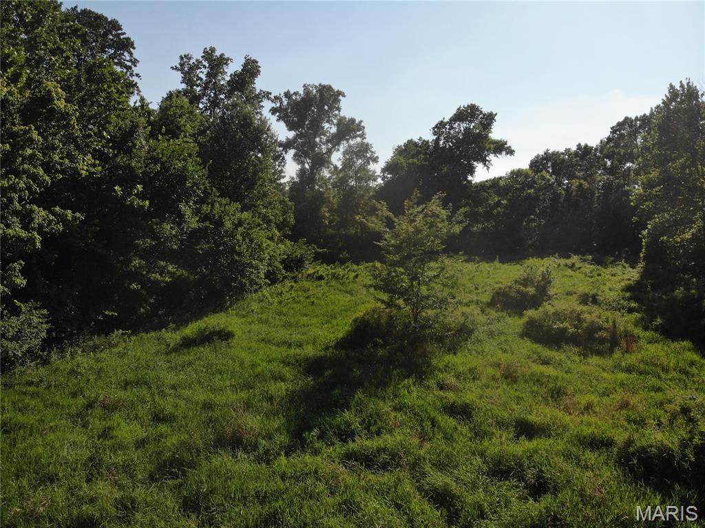 Stevenson Twp - Land