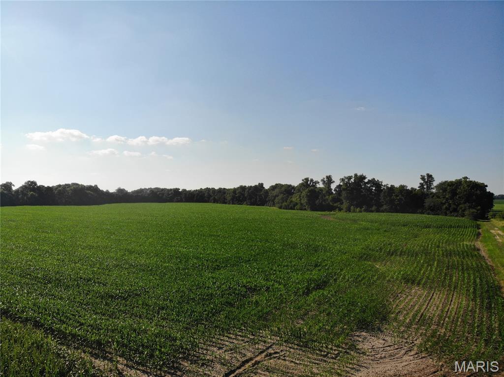 Stevenson Twp - Land