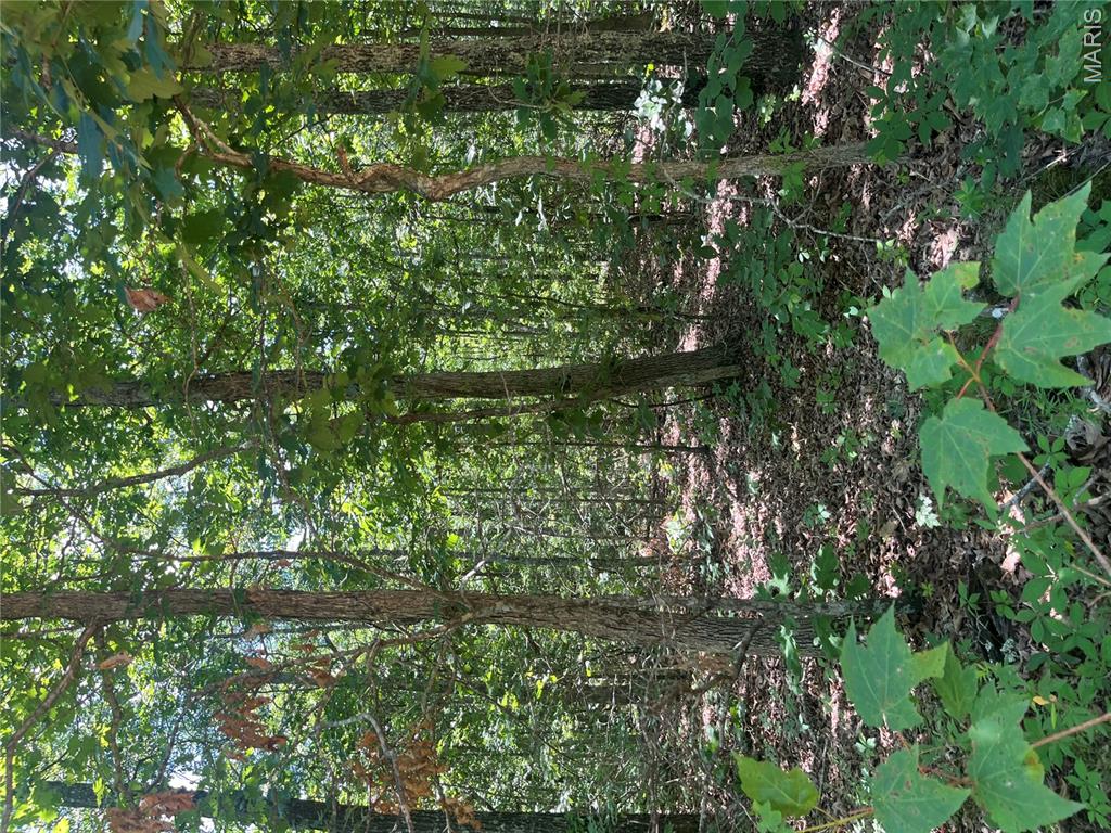 Wooded land with county road frontage that has been recently surveyed consisting of 54.98 acres. A great property for hunting, recreational use, or future home site. Located on County Road 750 just off of B highway near Centerville MO.