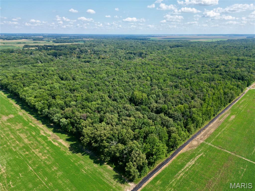 This 40± acre all-wooded tract in Wayne County, Illinois is an affordable opportunity to own a solid hunting property in an area known for outstanding hunting. The timber is made up primarily of maple, swamp white oak, pin oak, and several other hardwoods, providing excellent cover and habitat for whitetails and other wildlife.
The property offers access along both the south and east sides, giving multiple options for entering and exiting the property while taking advantage of different wind directions. 
With tillable ground all around, this tract has the ingredients to be a productive hunting property, offering cover next to nearby food sources. The amount of habitat in this area, with the perfect amount of food, it makes it the perfect recipe to produce monster bucks! 
This farm is well off the beaten path to give you plenty of privacy, but is still just a short drive over to town. Hunting season is coming quick, reach out now!