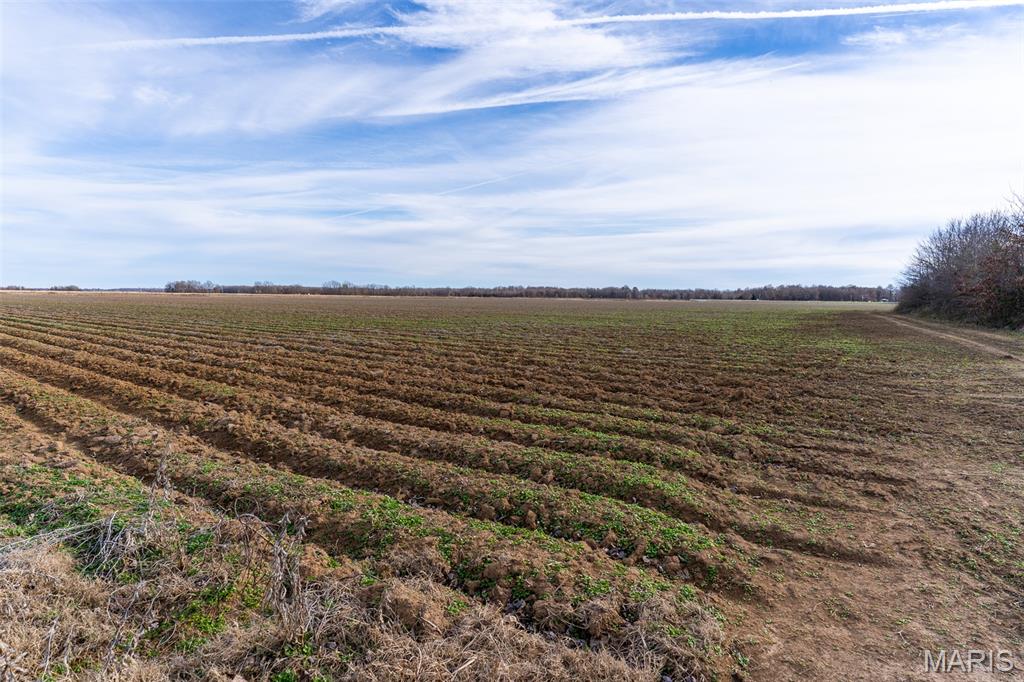 N/A - Farm