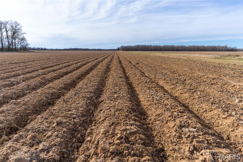 N/A - Farm