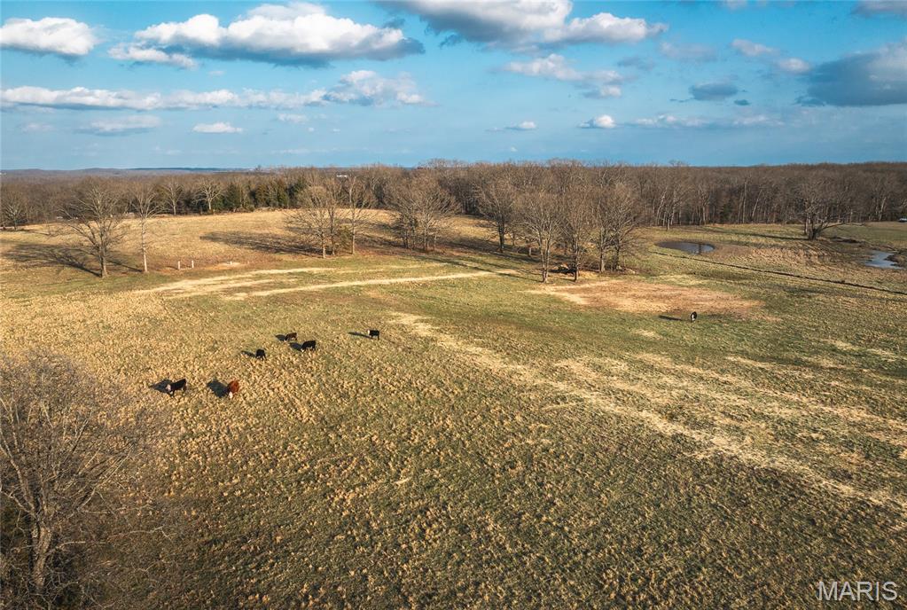 72 acres of prime farmland offering a beautiful mix of open pasture and mature woods, perfect for farming, recreation, or building your dream home. This versatile property provides plenty of space for livestock, hunting, or enjoying the outdoors. Conveniently located on an asphalt road with easy access to I-44, making travel to nearby towns simple while still enjoying the peace and privacy of country living. Whether you’re looking to expand your farming operation or invest in land with endless potential, this property is a rare opportunity.