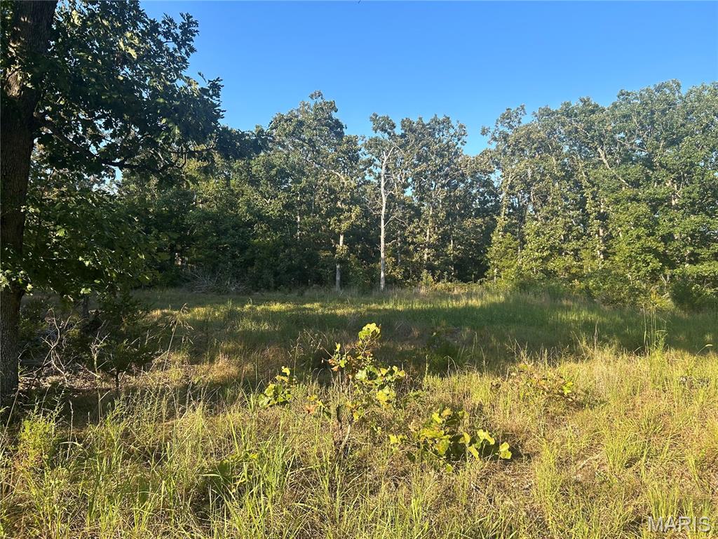 15 Acres of Beautiful Wooded Land Near Salem, Missouri.  Discover the perfect setting for your dream home, cabin, or recreational retreat on 15 surveyed acres of mostly level, wooded land in the beautiful Missouri Ozarks. This property offers an excellent building site surrounded by nature, with abundant wildlife including deer and turkey. With electric available across the property and over a quarter mile of county road frontage, the land provides both convenience and privacy. Enjoy easy access to some of the area's premier outdoor destinations, including Mark Twain National Forest, Montauk State Park and Trout Park, and Salem, Missouri—known as the Gateway to the Ozark National Scenic Riverways. Whether you're looking to build, hunt, enjoy the outdoors, or invest in a beautiful piece of the Ozarks, this property offers plenty of possibilities.