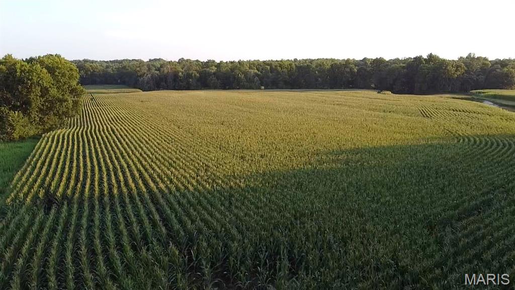 N/A - Farm