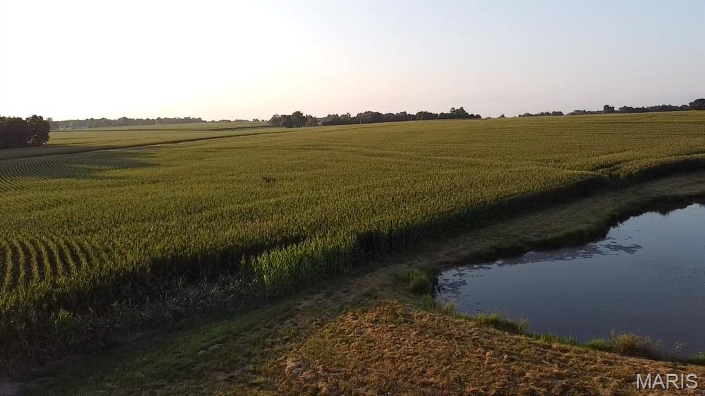N/A - Farm